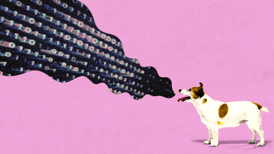 A GIF of a dog with binary coding numbers coming out of its mouth