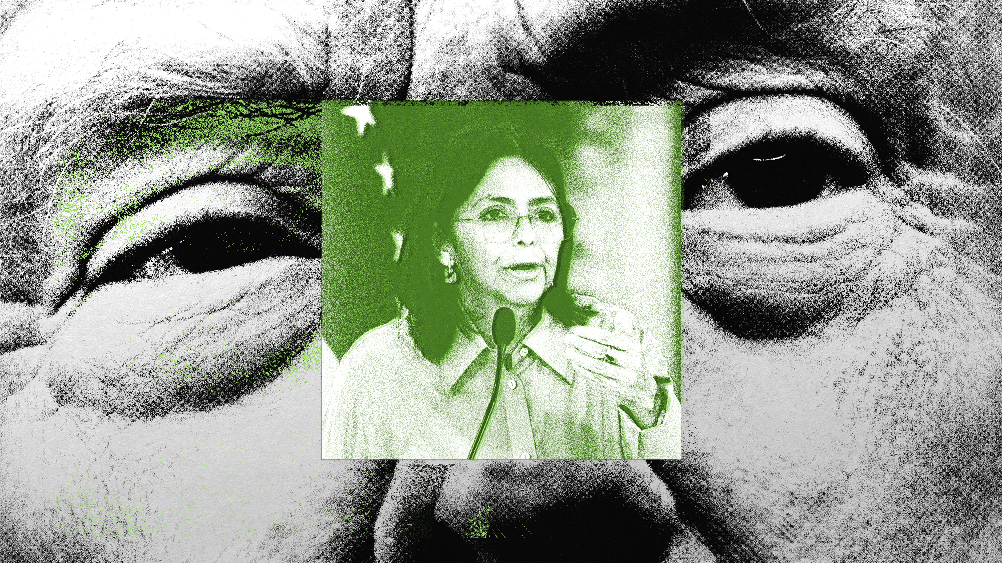 Trump Threatens Venezuela’s New Leader With a Fate Worse Than Maduro’s