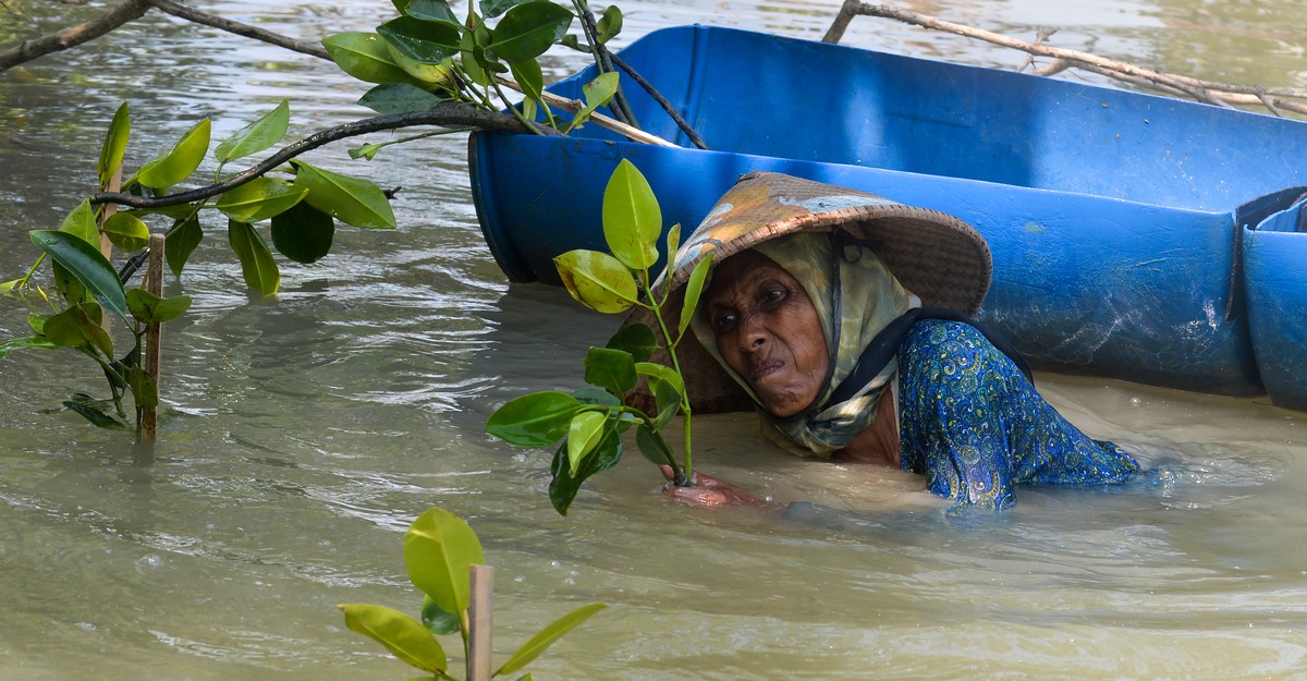 Portrait of an Indonesian village lost to the sea