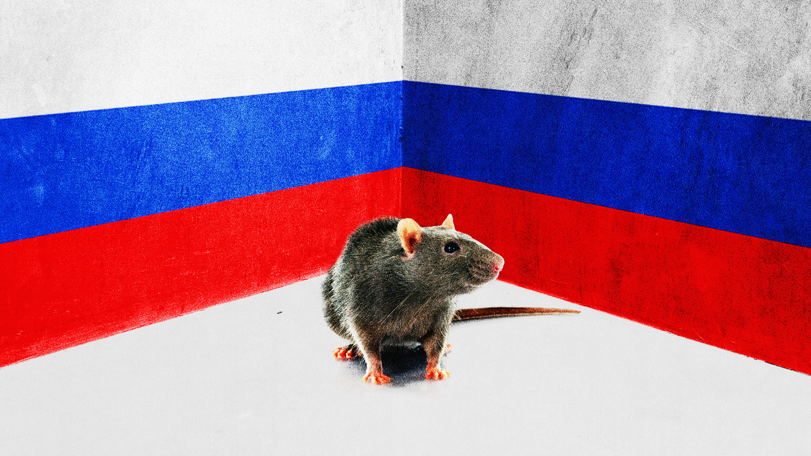 Vladimir Putin and the Parable of the 'Cornered Rat' - The Atlantic