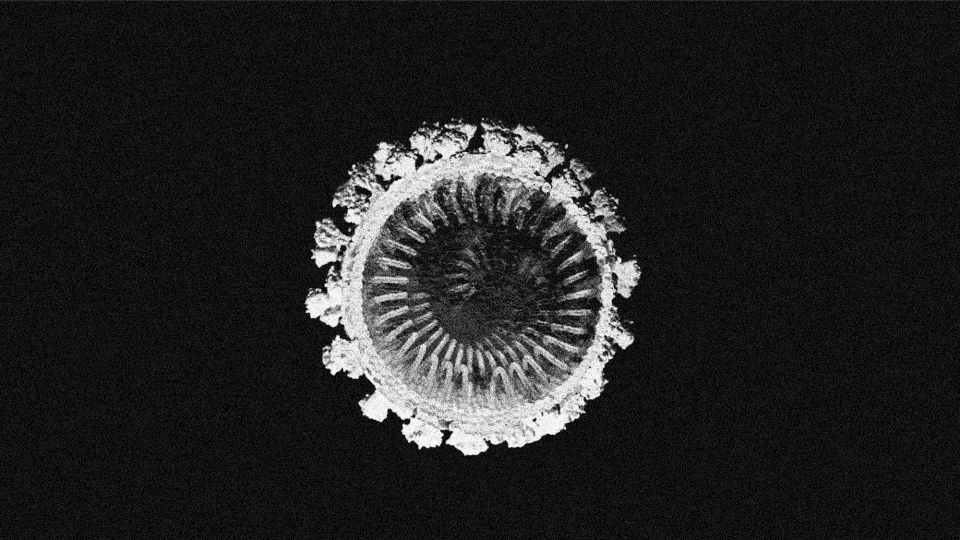 a scan of a coronavirus particle