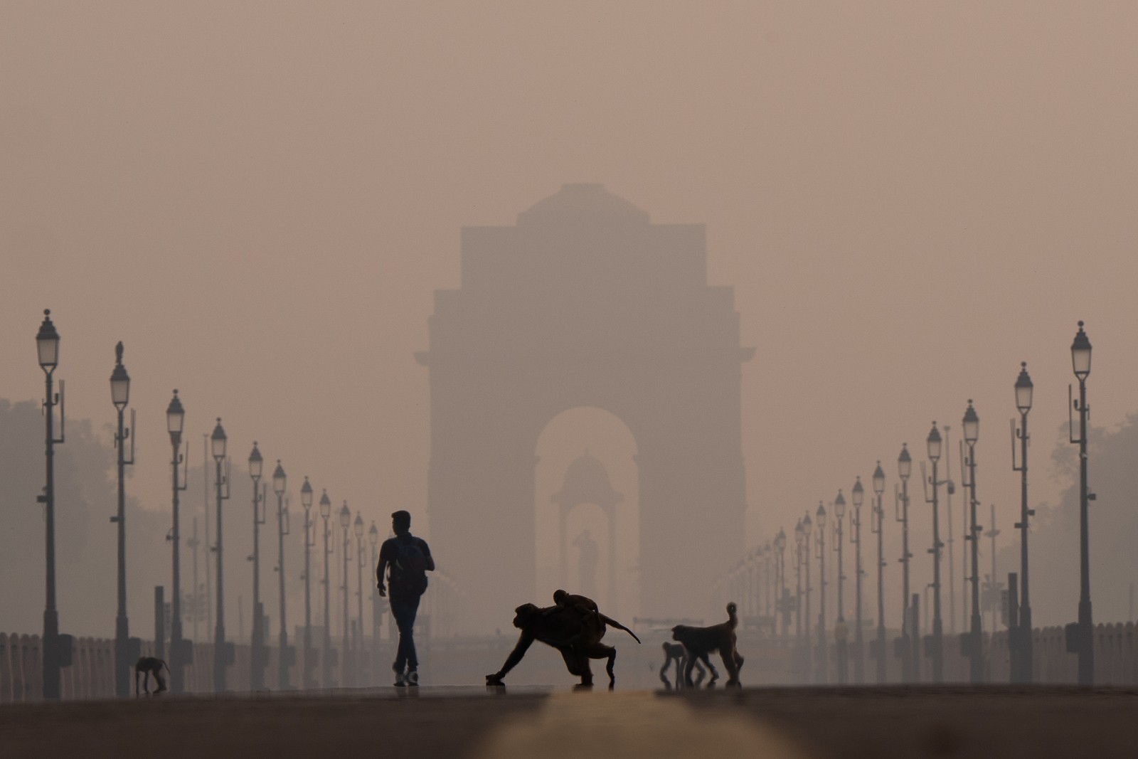 Silhouettes of people and monkeys, seen against a very smoggy sky and a monument gate in the hazy distance