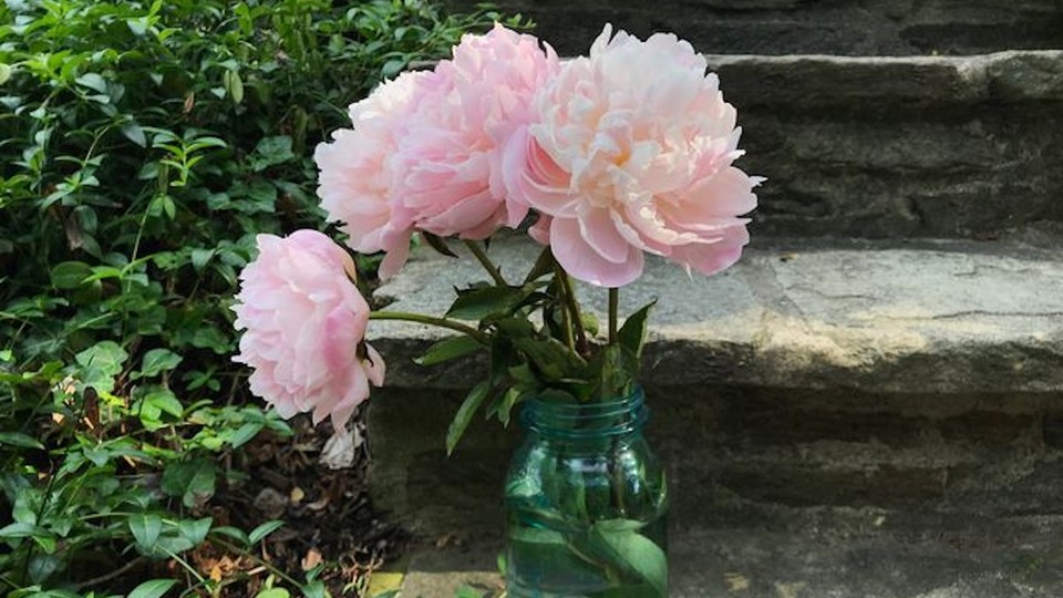 A jar filled with pink peonies, sitting on a stone step