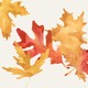 Watercolor leaves in yellow and red