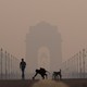Silhouettes of people and monkeys, seen against a very smoggy sky and a monument gate in the hazy distance