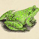 Illustration of a frog with green spots all over it