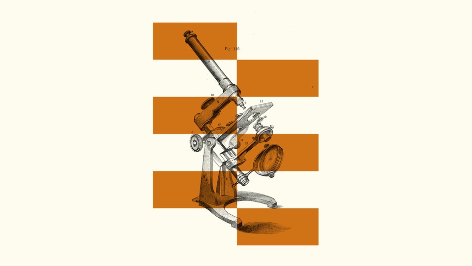 An illustration of a microscope