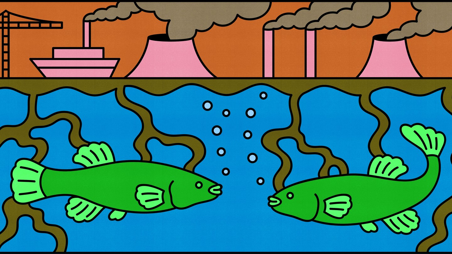 Two fish look at each other in a very polluted river