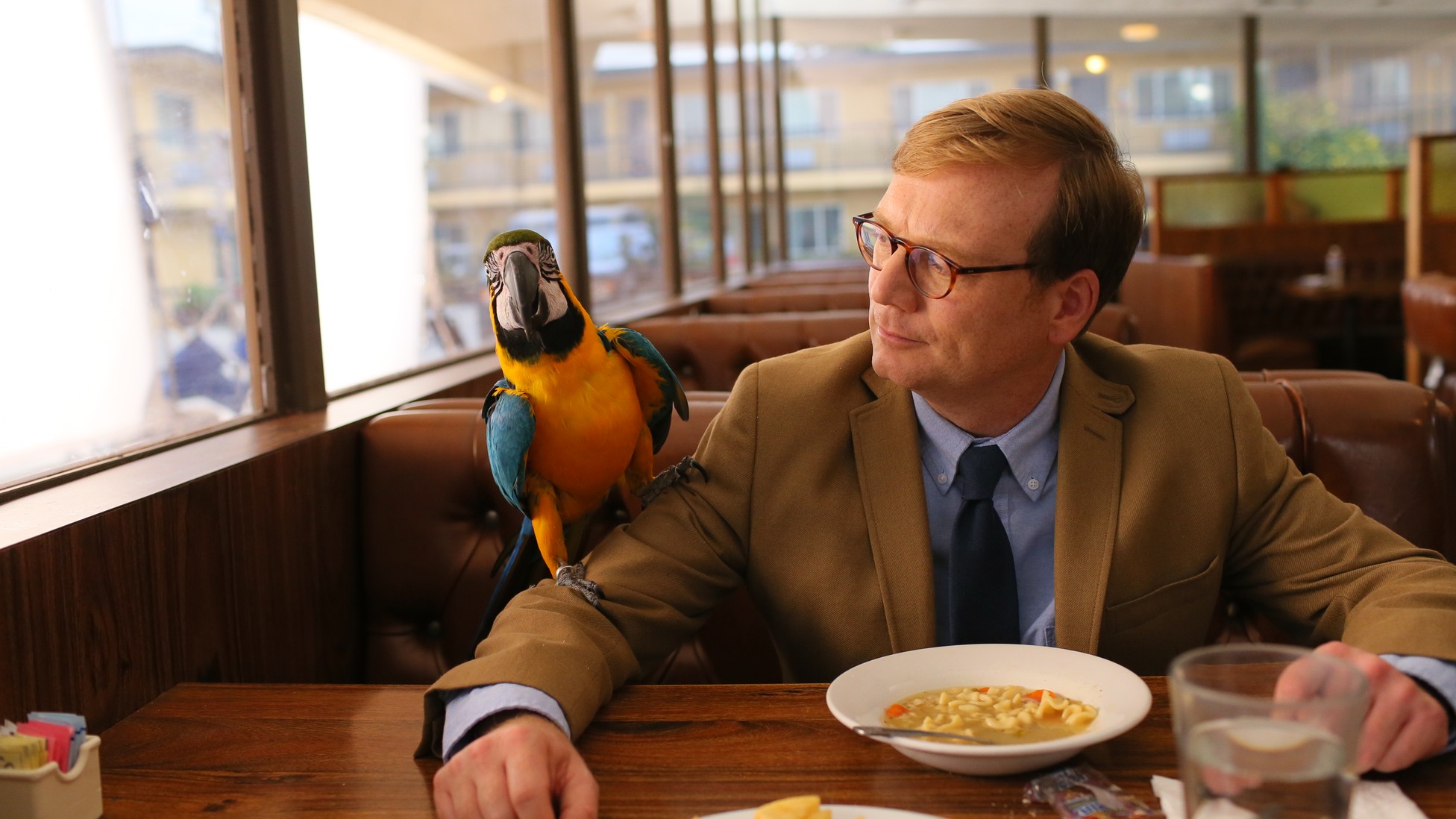 Andy Daly on Forrest MacNeil, 'Review' Season 2, and the Influence of ...