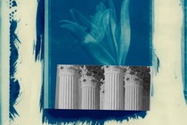 collage of the Supreme Court's pillars with nature images in the background