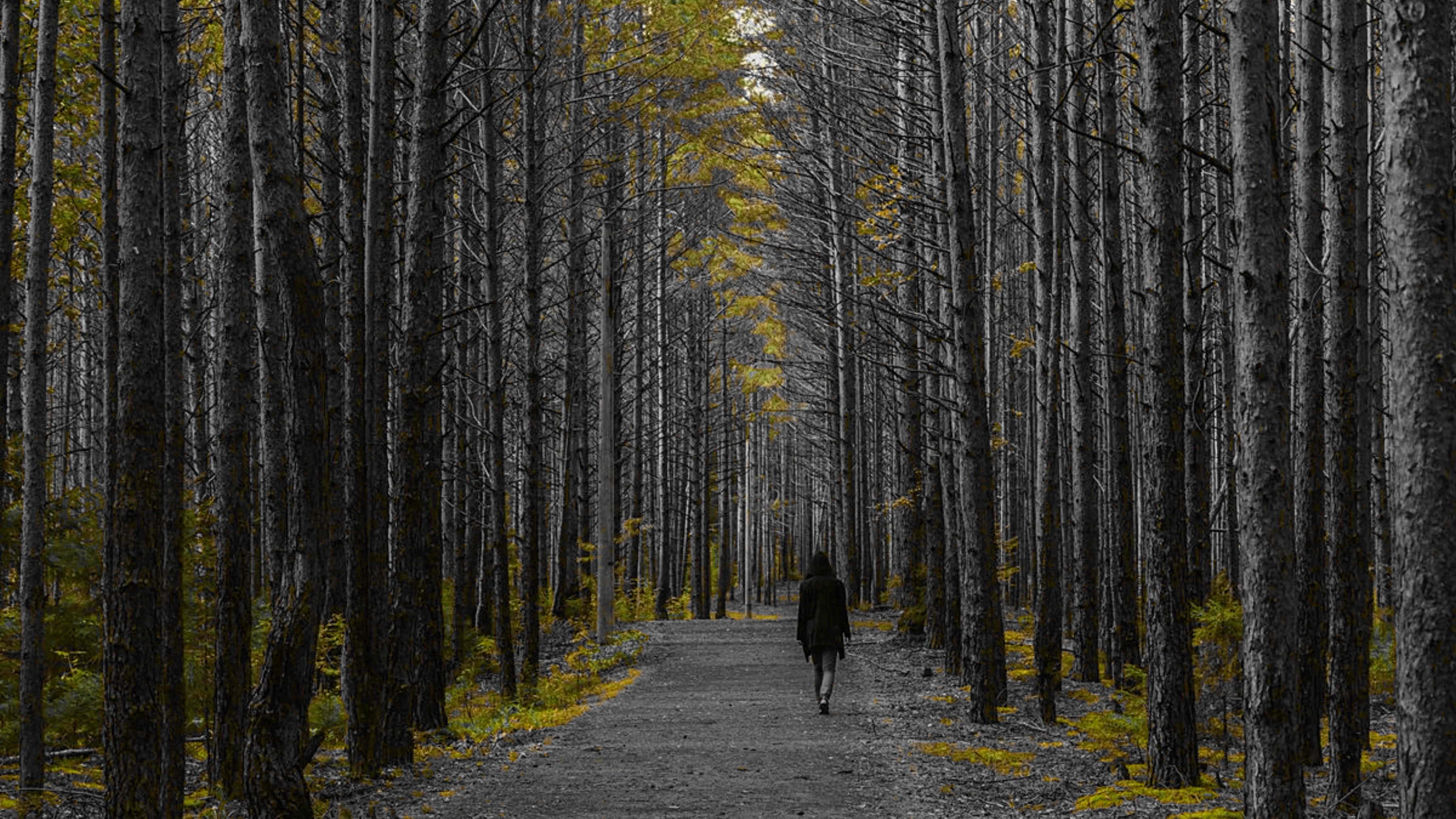 How to Find Focus When It’s Most Elusive