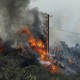 A pole supporting electric wires goes up in flames in a wildfire.