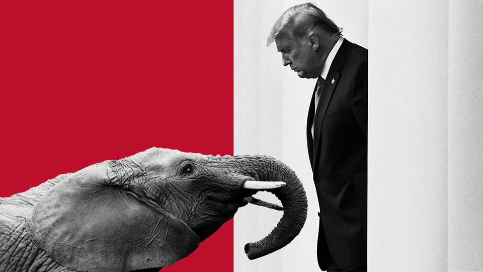 A graphic of a baby elephant looking up at Donald Trump
