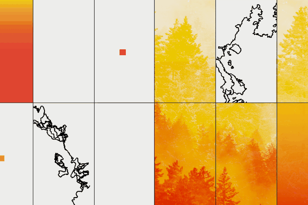 Illustration with grid of black-outlined fire areas and orange-and-yellow photos of treeline and smoke
