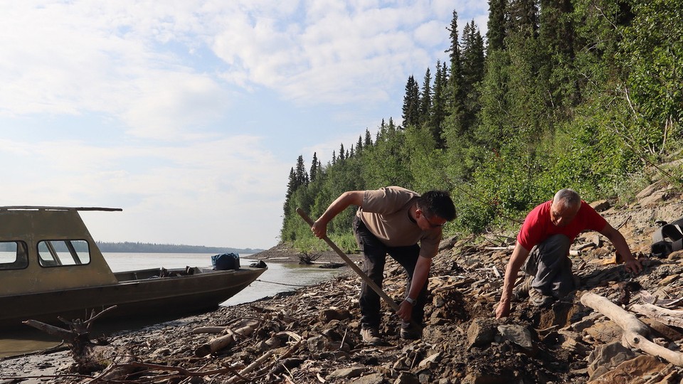 A photograph of two men digging for fossils along the Alaskan Yukon River, with a boat docked behind them