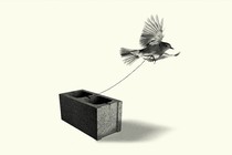 A bird tied to a brick attempts to fly away