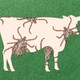 A cutout of a cow on green paper reveals images of giant ticks.