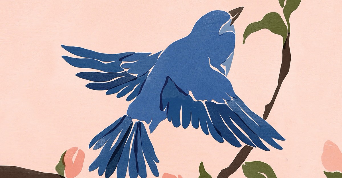 Review: ‘What It’s Like to Be a Bird’ and ‘The Bird Way’ - The Atlantic