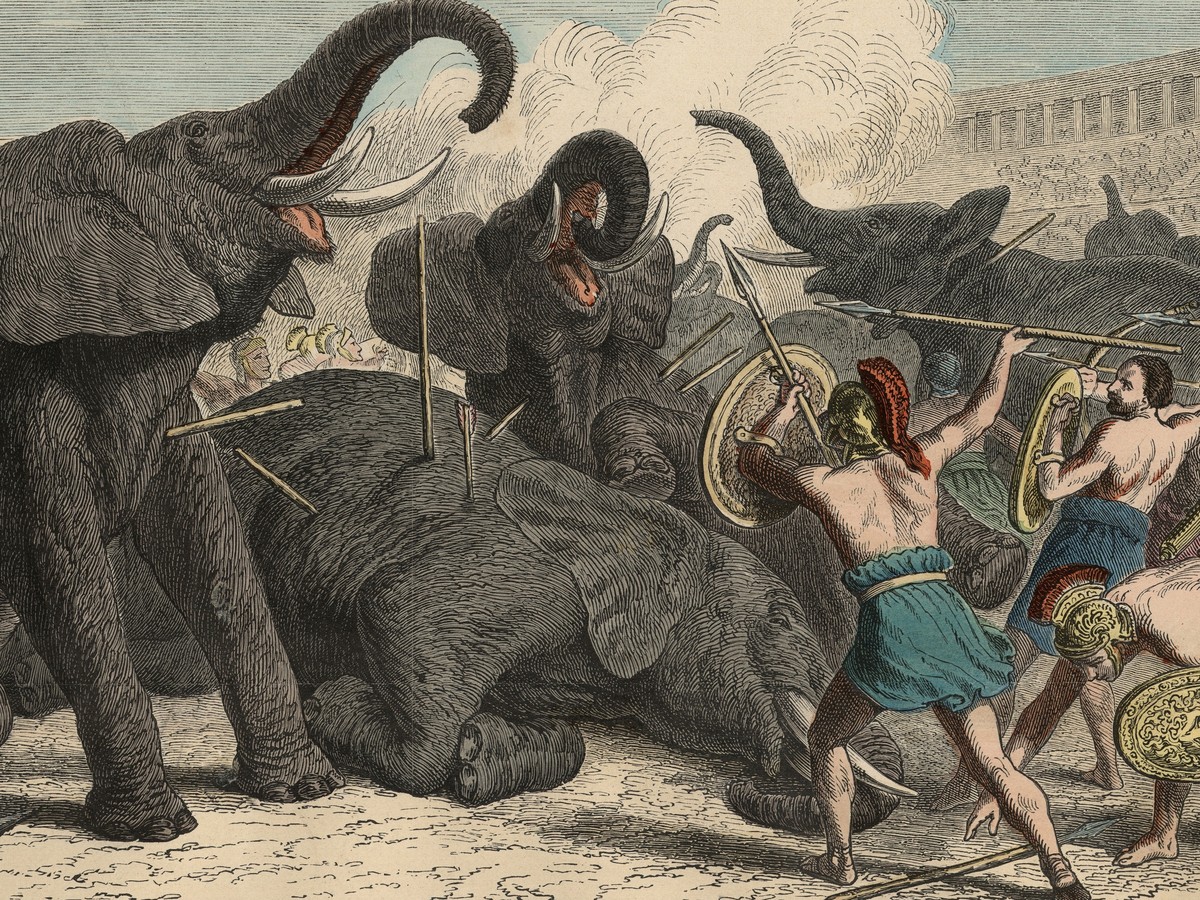 The Exotic Animal Traffickers of Ancient Rome - The Atlantic