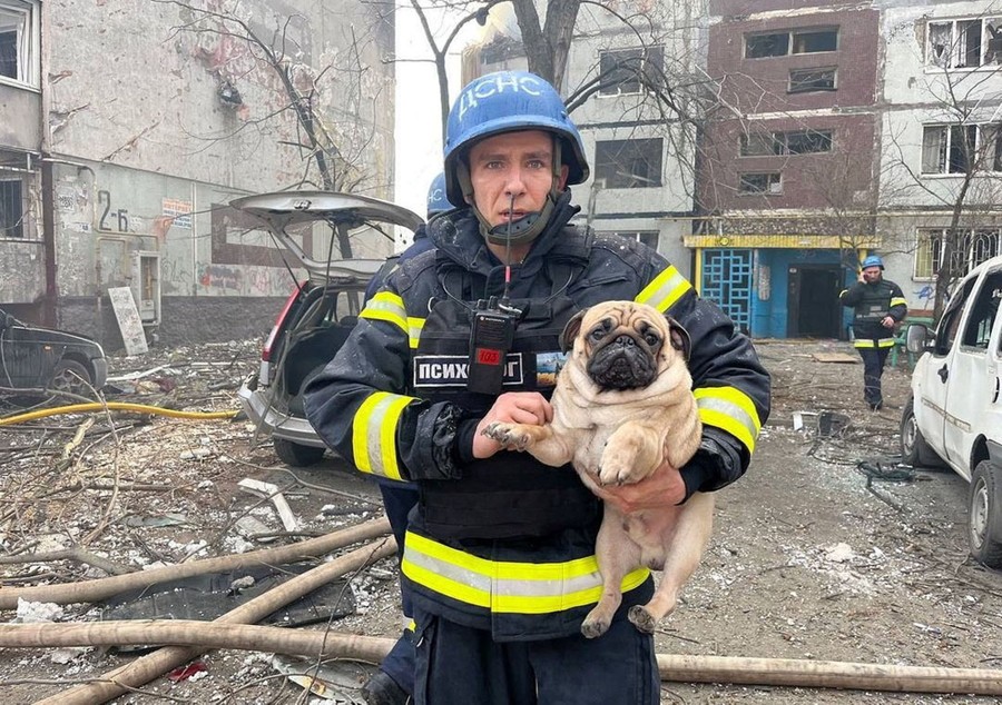 A rescuer carries a dog outside a bomb-damaged building.