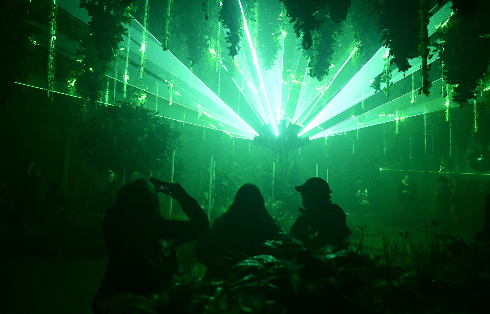 Several people stand inside an exhibit space, looking up toward foliage hanging from the ceiling and green laser lights throughout the space.