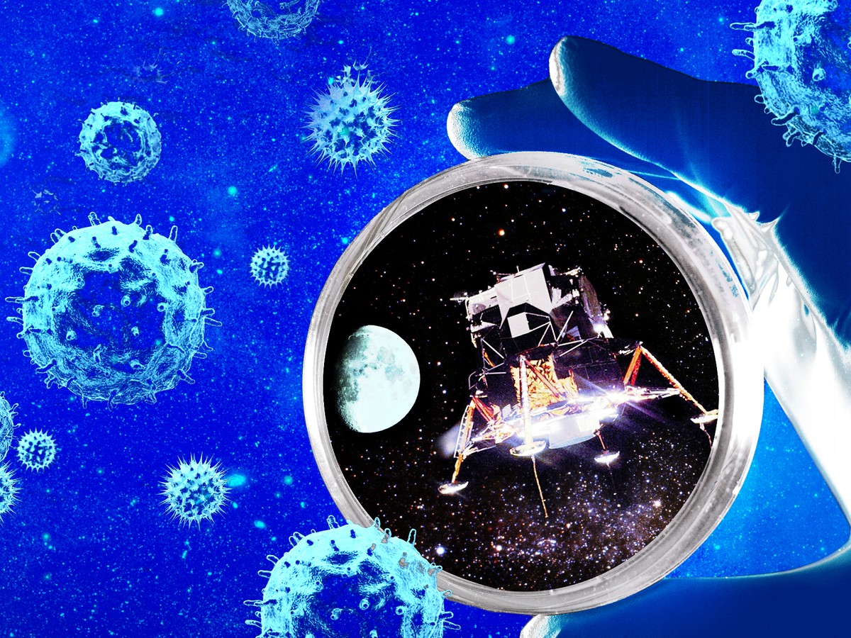 Can The Cancer Moonshot And Immunotherapy Cure Cancer The Atlantic