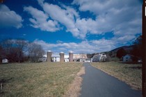 A road leading to a dairy farm