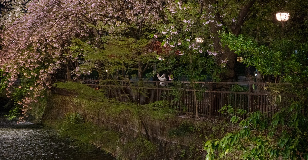 https://cdn.theatlantic.com/thumbor/kr1Mm8D1cNUcwguToVP2Vpj-mrc=/0x243:3314x1969/1200x625/media/img/2025/08/_kyoto_opener_1/original.jpg