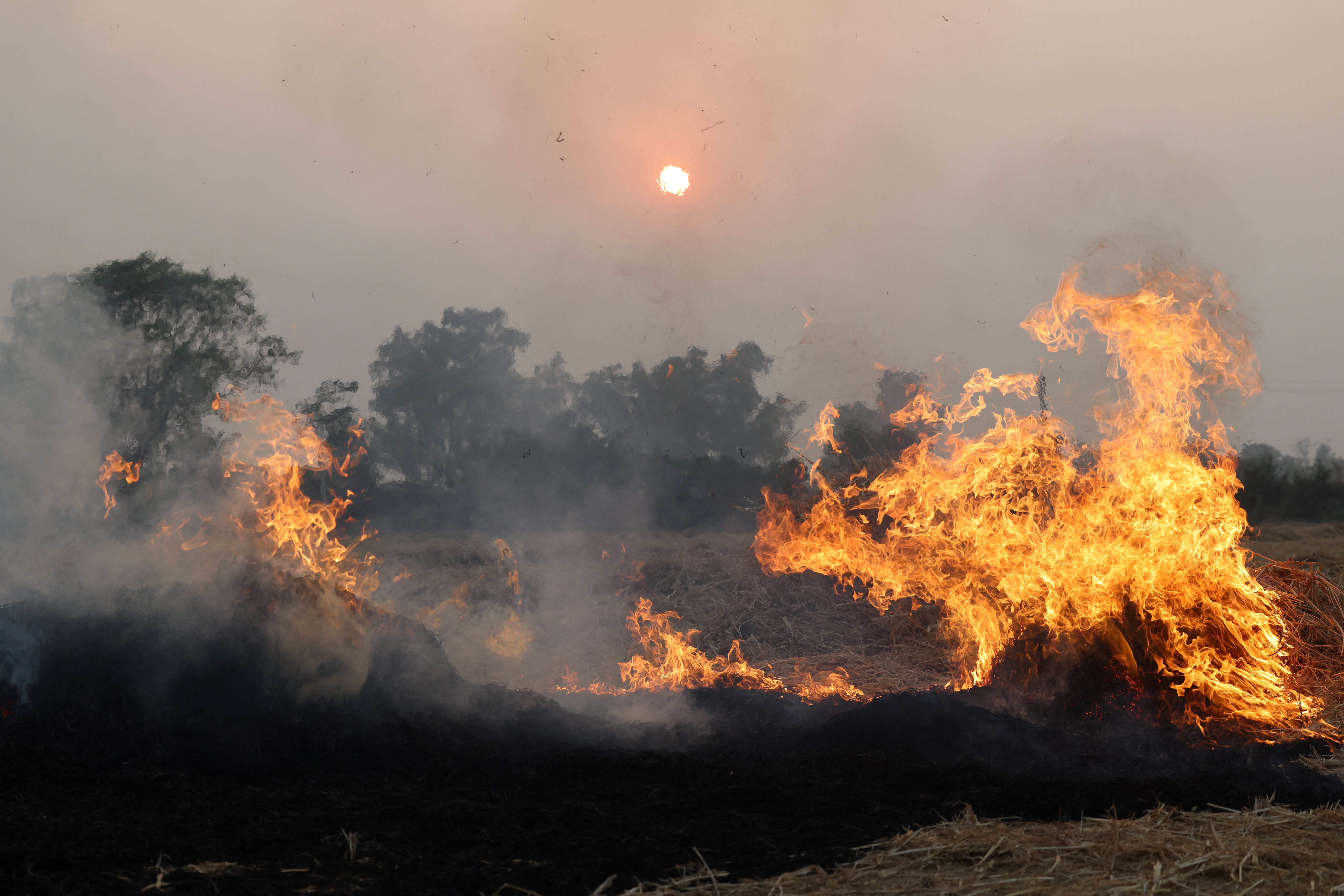 Fire and smoke rise above a burning farm field.