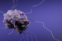 An illustration of an abstract brain with wire-like strands stretching in different directions against purple background