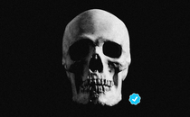A photograph of a skull next to the blue "verified" checkmark logo from Twitter.