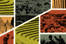 collage of images depicting land reform in China