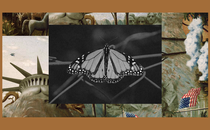A monarch butterfly rests on a wire fence set into The Experiment’s image template.