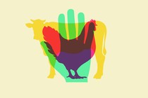 A translucent human hand over a cow over a chicken