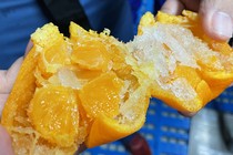 The inside of a frozen orange