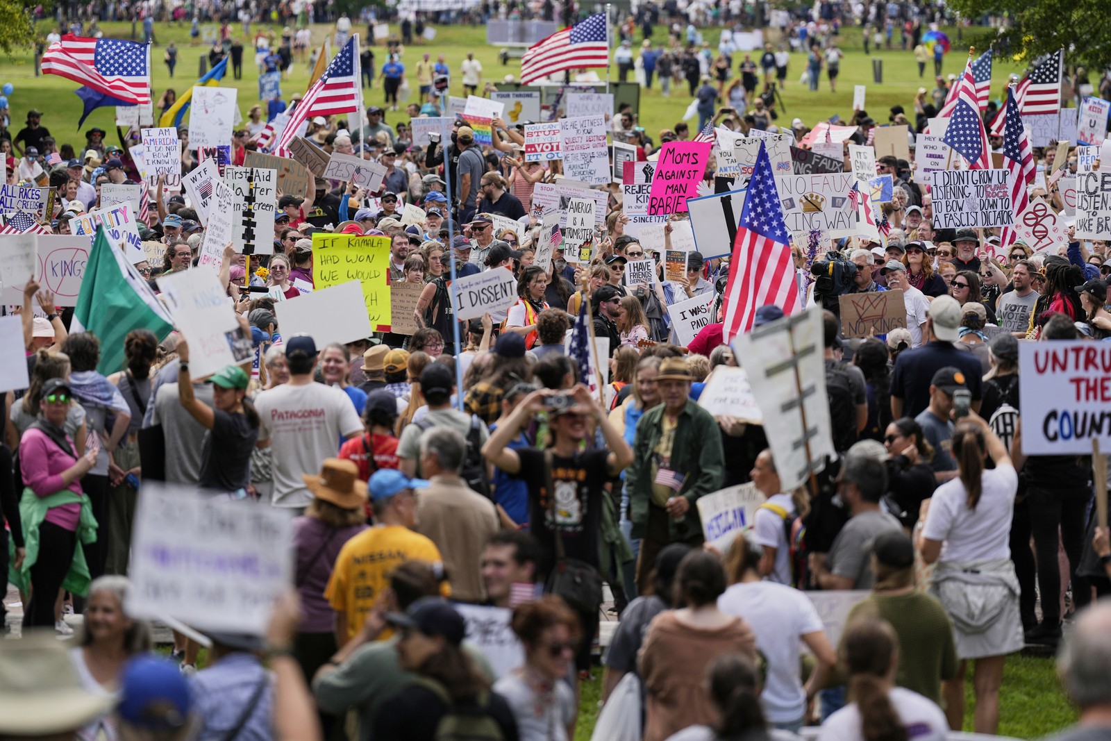 A group of protesters gathers in a grassy area.