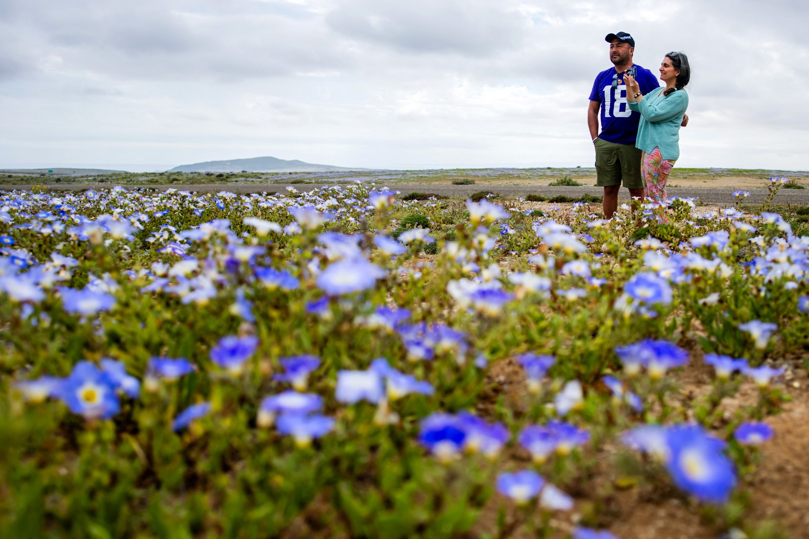 Two people look at a carpet of flowers blooming in a desert.