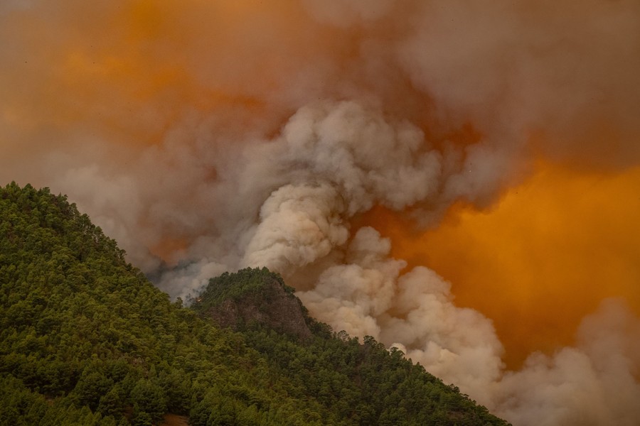 Thick smoke rises from a forested mountainside.