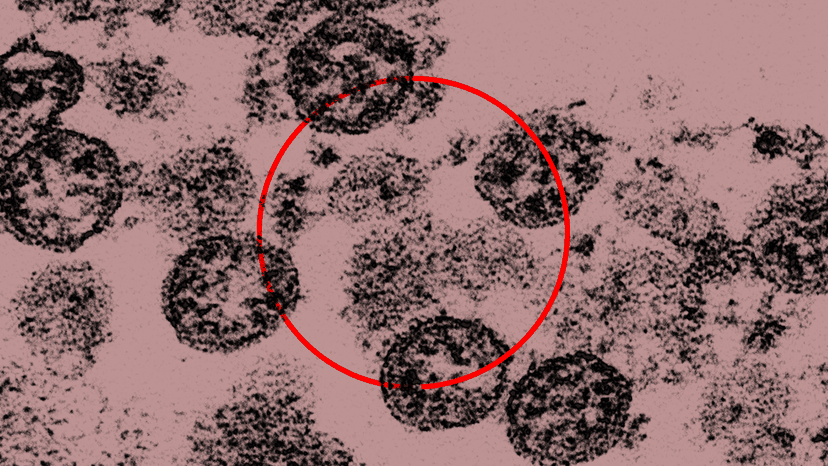 What to Do When You Get an Omicron Breakthrough Infection - The Atlantic
