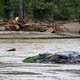 A destroyed car floats in floodwaters in Chimney Rock, North Carolina, in the aftermath of Hurricane Helene.