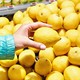 A color photo of someone picking up a lemon from a pile of them in a grocery store.