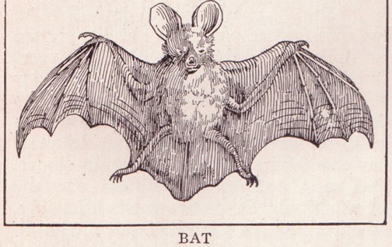 Is Your Bat Giving You SARS? - The Atlantic