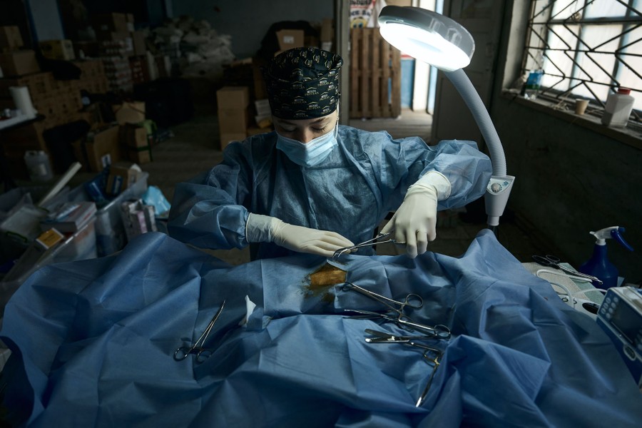 A veterinary surgeon operates on a cat that is mostly covered by a large blue sheet of fabric.