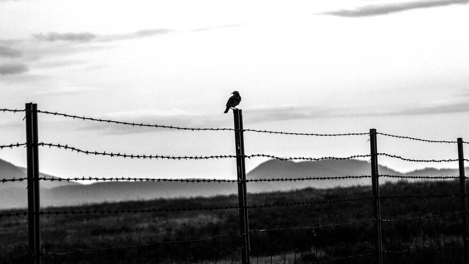 barbed wire fence background