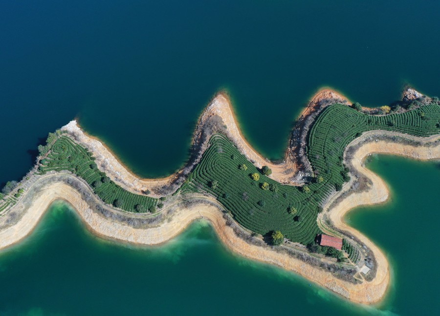 Photos of the Week Giant Teapot, Arizona Sunset, Egyptian Goose The