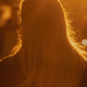 photo of long-haired woman facing away from camera and backlit by golden sunlight
