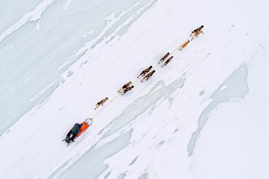 A top-down aerial view of a dog team running across a frozen lake.