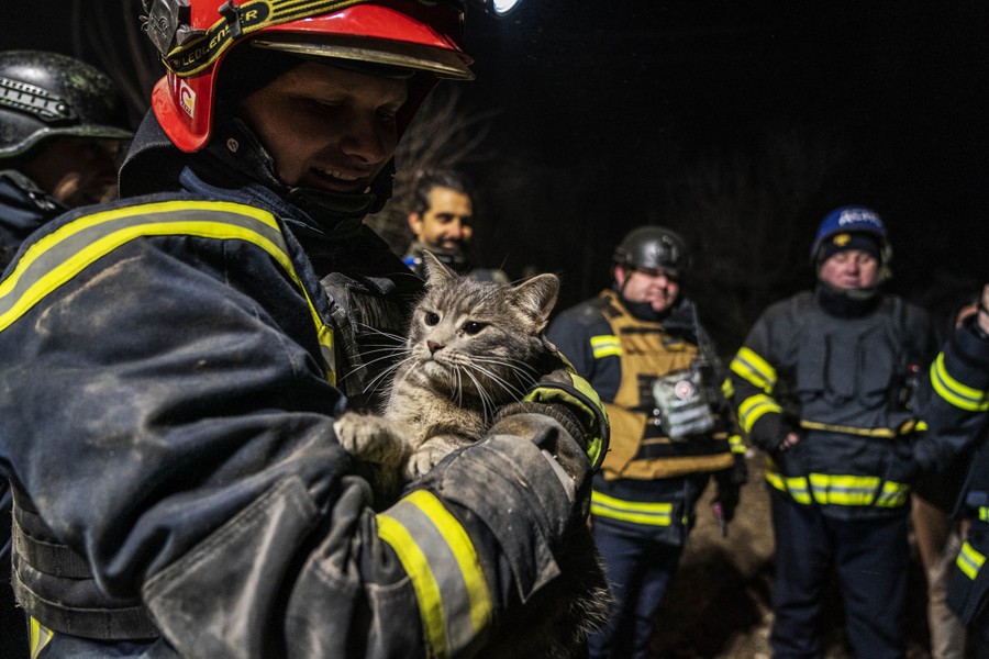 A firefighter holds a rescued cat.