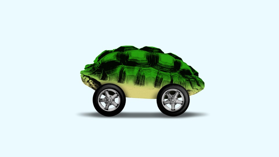 A turtle shell acts as the body of a car