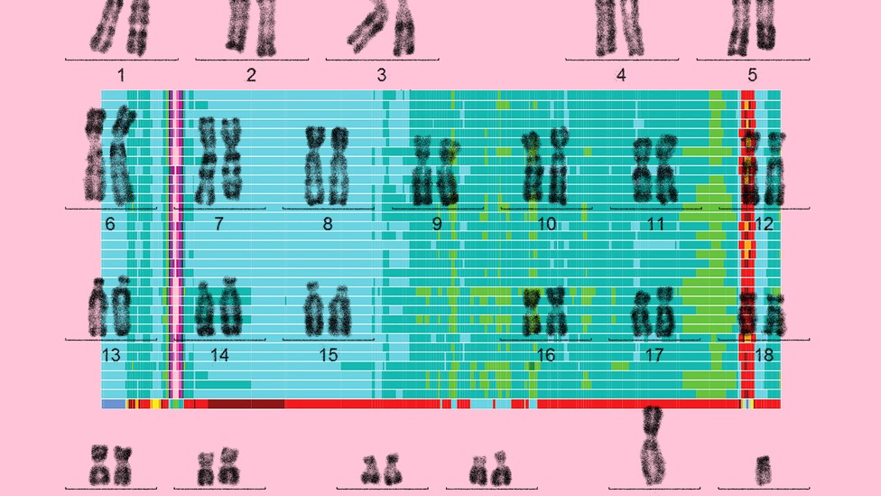 Illustration of chromosomes against a pink background